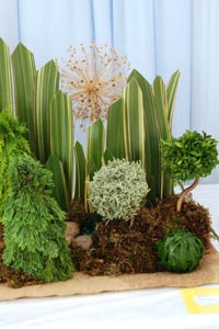 Bonsai Flower arrangement