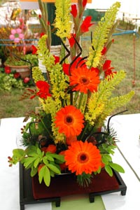 Competition Flower arrangement
